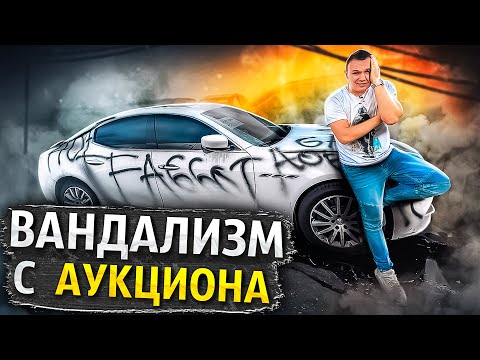 Видео: КОТ В МЕШКЕ ОТ СТРАХОВОЙ КОМПАНИИ. АВТО ИЗ США