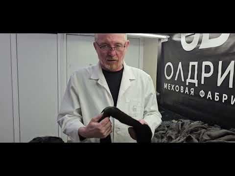 Видео: Как покупать шкурки НОРКИ