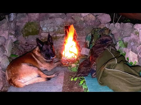 Видео: Одиночное приключение в кемпинге с моей собакой: 3 дня строительства убежища и выживания