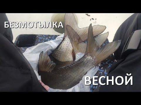 Видео: Закрытие сезона №3 Ловля леща на безмотылку. Рыбинка.