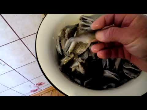 Видео: Консервы из ершей