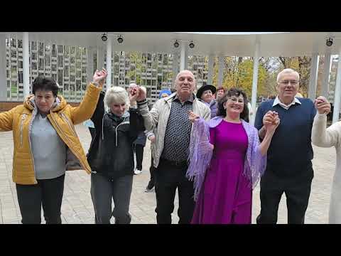 Видео: Стоп музыка... 19.10.25...