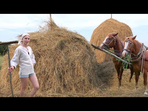 Видео: Важка праця в селі. Створення на 1 тонну копиці сіна за 3 дні. Колекція чудових обідів