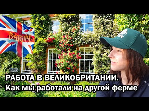 Видео: Как мы РАБОТАЛИ НА ДРУГОЙ ФЕРМЕ от Hall Hunter в Англии
