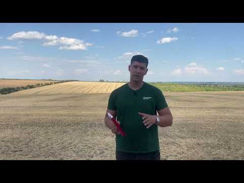 Видео: Чи має право на життя посів Колісницею? Результати випробування!