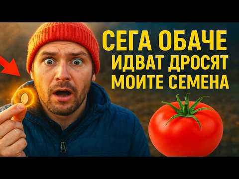 Видео: Съседите се смееха, докато садих домати в замръзналата земя. Сега обаче идват да просят моите семен