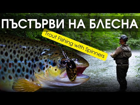 Видео: РИБОЛОВ на ПЪСТЪРВА с блесна - TROUT fishing with spinners