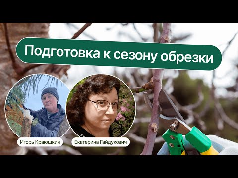 Видео: Подготовка к сезону обрезки | Запись прямого эфира школы «Умный садовник»
