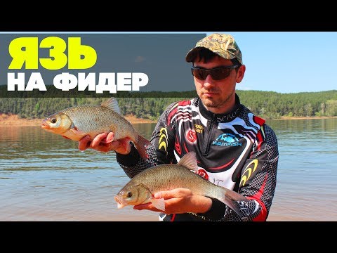Видео: ЯЗЬ НА ФИДЕР. Ловля язя, леща. УДИЛИЩЕ ДЛЯ ФИДЕРНОЙ ЛОВЛИ SENSITIV 5 HEAVY 390 CAPERLAN. Kamfish