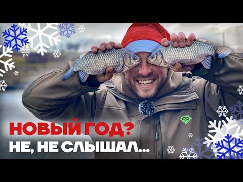 Видео: Середина Зимы, а КАРАСЬ прёт... Ловля карася зимой на ФИДЕР и ФЛЭТ ФИДЕР! Как ловить карася зимой?