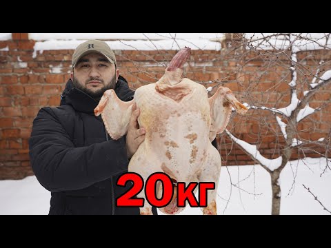 Видео: Готовим домашнего индюка ГИГАНТА! Шашлык из индейки