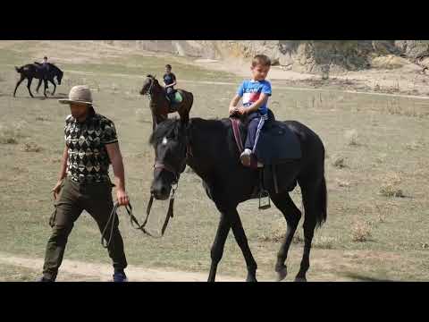 Видео: Н-Казанищ. Конная прогулка