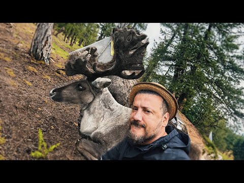 Видео: Трудный путь к тюркам духа - Монголия