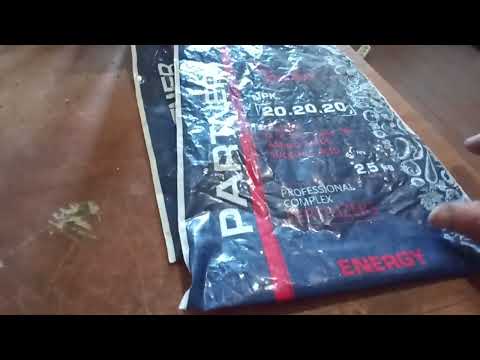 Видео: чем я удобряю