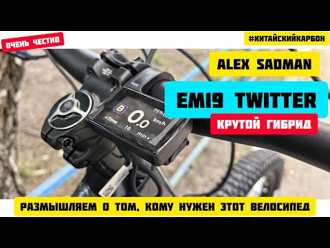 Видео: EM19 TWITTER - крутой гибрид. Кому подойдет. Размышления.