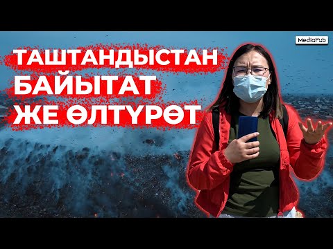 Видео: "Бишкек полигону — экинчи Кумтөр. Анда миллиондор айланат"