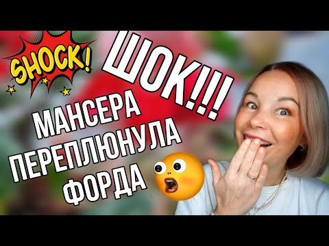 Видео: СЛИШКОМ КРАСИВЫЕ АРОМАТНЫЕ НОВИНКИ💥ЧТО ТОЧНО КУПЛЮ!