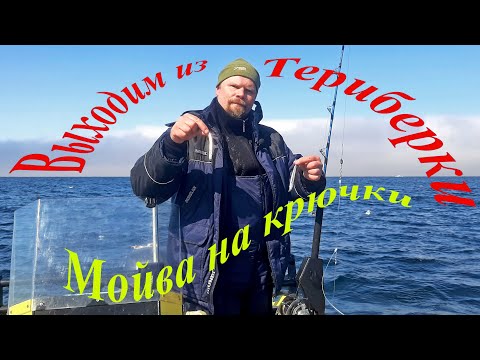 Видео: Морская рыбалка, Баренцево море. Май-2022/Sea fishing, Barents Sea. May-2022