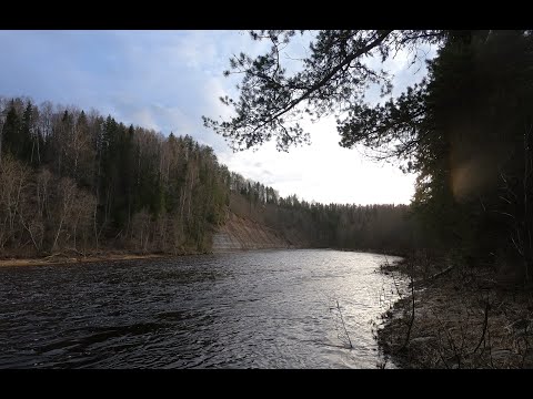 Видео: Реки Верхняя Ёрга и Сухона 2023 полностью.