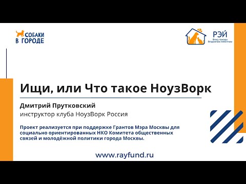Видео: Ищи, или Что такое НоузВорк