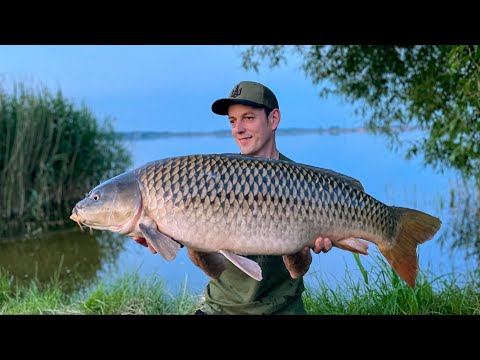 Видео: Рибалка на Львівському морі - Ловля сазана на водосховищі