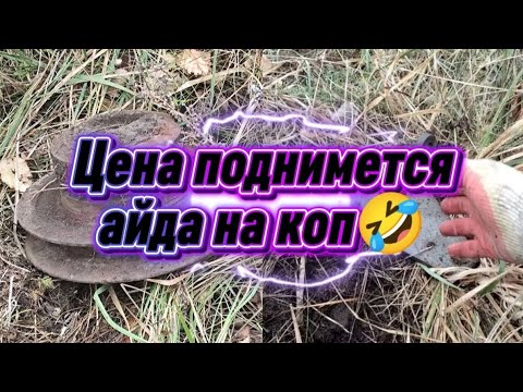 Видео: Цена при поднялась на металл. Осенний металлокоп. Коп 2025   