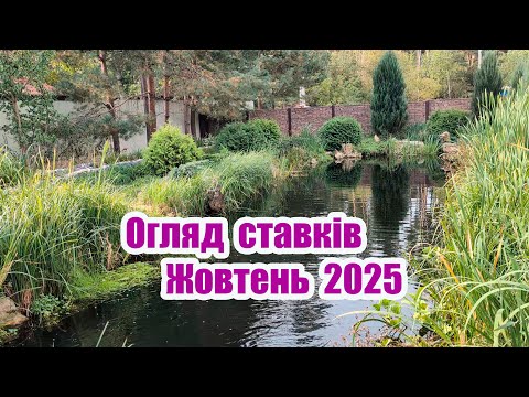 Видео: Огляд ставків жовтень 2025 року