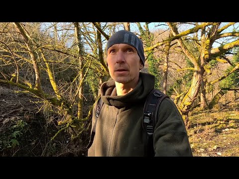 Видео: Дом, Огород и Природа в Грузии и Немного о Жизни Бродяг
