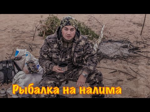Видео: Рыбалка на налима. Ноябрь 2020 г. Река Унжа, Костромская область, Макарьевский район.
