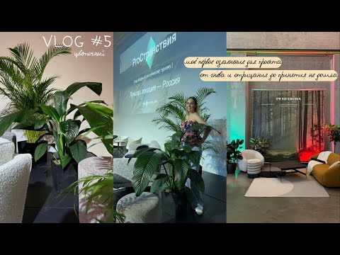 Видео: Цветочный влог #5: Моё ПЕРВОЕ ОЗЕЛЕНЕНИЕ для ПРОЕКТА / От гнева и отрицания до принятия не дошла