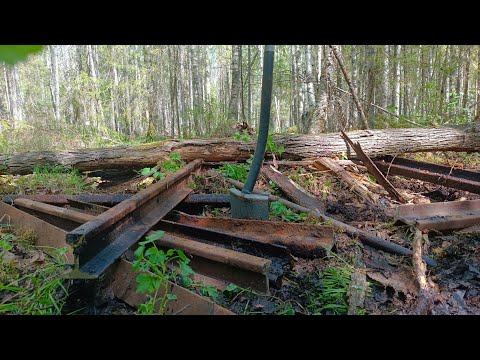 Видео: Начинаю вывозить найденный металл с делянок старой УЖД
