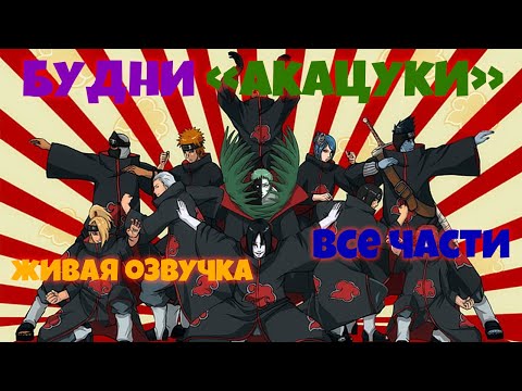 Видео: ПОВСЕДНЕВНАЯ ЖИЗНЬ АКАЦУКИ!!  Живая озвучка. Все части!