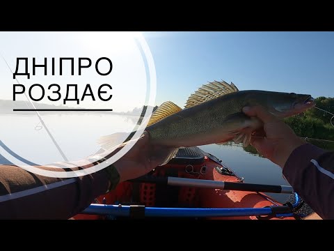 Видео: Дніпро роздає хижаків. Джигова, спіннінгова риболовля на Дніпрі.