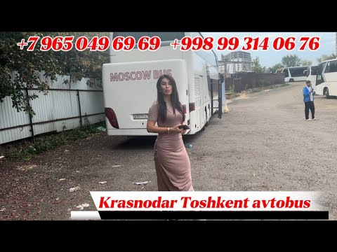 Видео: +79650496969/Krasnodar Toshkent avtobus ,Ростов Ташкент автобус,москва-ташкент автобус