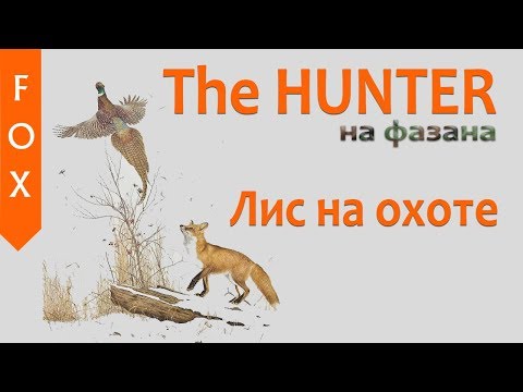 Видео: The Hunter на фазана.