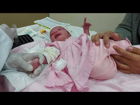 Видео: Lohana 14 dias. Blood collection. Coleta de sangue. جمع الدم . Сбор крови. جمع آوری خون