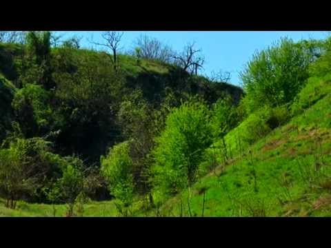 Видео: 10 Село Флорентин община Ново село MASTER