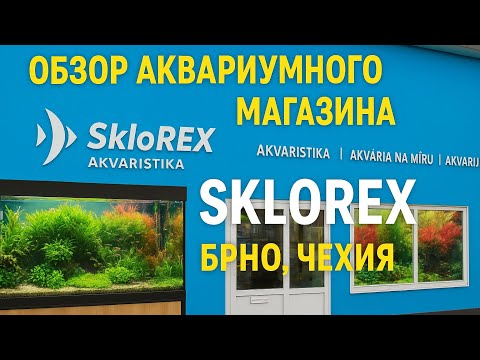 Видео: ОБЗОР аквариумного магазина SkloREX Брно Чехия #аквариумистика #aquarium