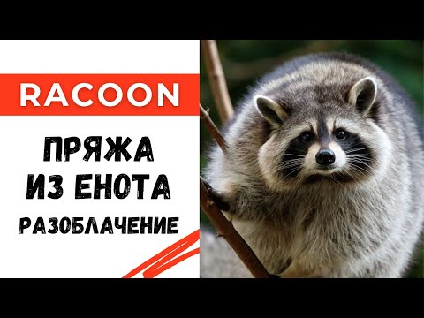 Видео: Пряжа из енота? Пух норки? Разоблачение😱