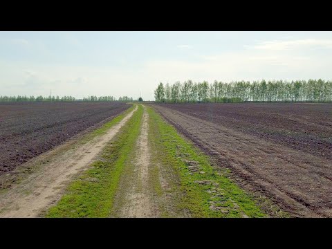 Видео: А поговорить? Забавные случаи на съёмках.