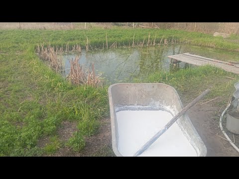 Видео: 👉🏿🐠Вапнуємо копанку.Норми,як і скільки кидати,все тут🐟