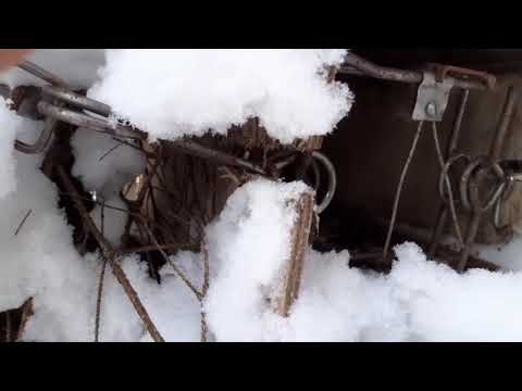 Видео: Проверка кп на куницу.тропление куницы,зайца беляка.