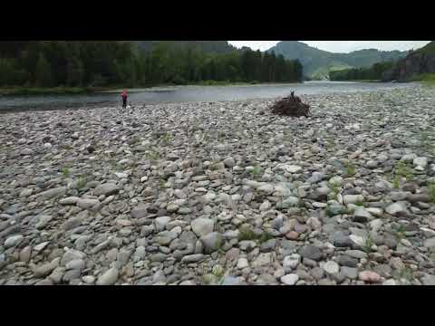 Видео: Сентелек-2022