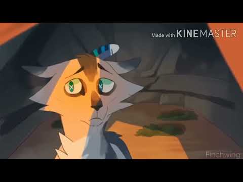 Видео: коты воители. Воробей и Иглогривка