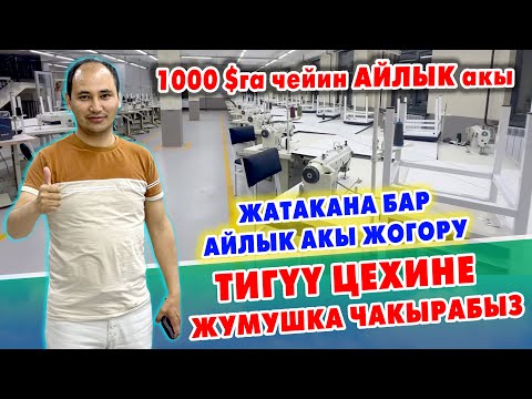 Видео: 80-100 миңге чейин АЙЛЫК бар ~ Тигүү цехине ТИГҮҮЧҮ жумушчулар керек ~ Бүт шарты, ЖАТАКАНАСЫ бар