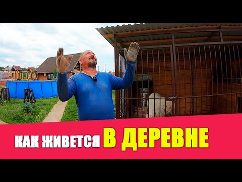 Видео: О БОЛИ В СПИНЕ | Встретил подписчиков | Коптим сало | Подготовка участка к продаже