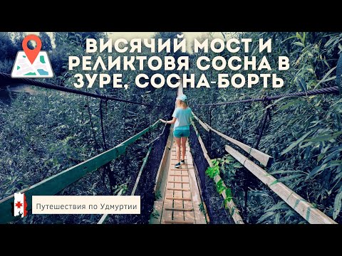 Видео: Висячий мост и Реликтовя сосна в Зуре, Сосна-Борть | Путешествия по Удмуртии