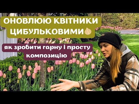 Видео: БУДЕ КВІТУЧА ВЕСНА 🌷ВИСАДЖУЮ 100 цибулин