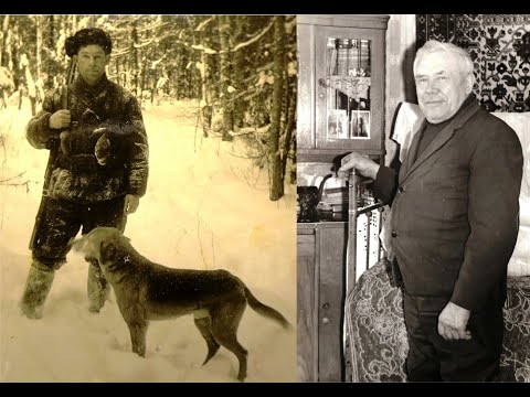 Видео: Охота на зайца с Русскими гончими 13 декабря 2024