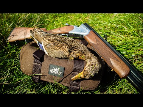 Видео: Косули, утки, рябчики. Прогулялся утром по каналам в поисках утки, новое место. [Пора добывать дичь]